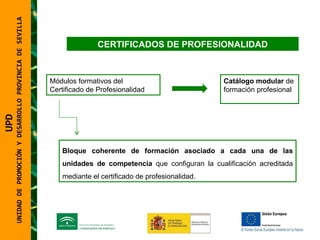 UNIDAD DE PROMOCIÓN Y DESARROLLO PROVINCIA DE SEVILLA Módulos formativos del Certificado de Profesionalidad Catálogo modular  de formación profesional Bloque coherente de formación asociado a cada una de las unidades de competencia  que configuran la cualificación acreditada mediante el certificado de profesionalidad.  UPD  UNIDAD DE PROMOCIÓN Y DESARROLLO PROVINCIA DE SEVILLA CERTIFICADOS DE PROFESIONALIDAD 
