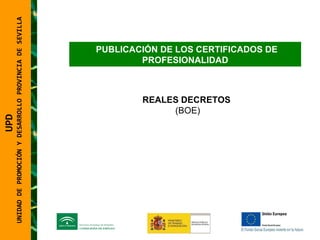 UNIDAD DE PROMOCIÓN Y DESARROLLO PROVINCIA DE SEVILLA PUBLICACIÓN DE LOS CERTIFICADOS DE  PROFESIONALIDAD REALES DECRETOS  (BOE) UPD  UNIDAD DE PROMOCIÓN Y DESARROLLO PROVINCIA DE SEVILLA 