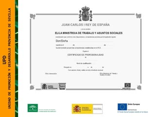 UNIDAD DE PROMOCIÓN Y DESARROLLO PROVINCIA DE SEVILLA UPD  UNIDAD DE PROMOCIÓN Y DESARROLLO PROVINCIA DE SEVILLA 