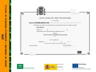 UNIDAD DE PROMOCIÓN Y DESARROLLO PROVINCIA DE SEVILLA UPD  UNIDAD DE PROMOCIÓN Y DESARROLLO PROVINCIA DE SEVILLA 