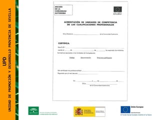 UNIDAD DE PROMOCIÓN Y DESARROLLO PROVINCIA DE SEVILLA UPD  UNIDAD DE PROMOCIÓN Y DESARROLLO PROVINCIA DE SEVILLA 