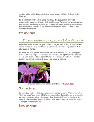 medio, sobre un fondo de platino se ubica un gorro frigio, símbolo de la
libertad.
En el tercio inferior, sobre aguas marinas, dos buques con las velas
desplegadas aparecen a lado y lado del Istmo de Panamá, que simboliza los
dos océanos que bañan al país. Las velas desplegadas aluden al comercio de
Colombia con el mundo. El escudo está flanqueado a lado y lado por dos
banderas nacionales.

Ave nacional

    El cóndor andino es la mayor ave voladora del mundo.
El cóndor de los Andes, de gran tamaño y majestuoso vuelo, es considerado
el ave nacional. Se encuentra en el Escudo de Colombia, representando las
glorias de la Patria.
Esta ave nacional puede volar hasta 300 km en un solo día. Su plumaje es
casi totalmente negro, con reflejos metálicos y una faja blancuzca encima
de las alas, además de un collar blanco en la base del cuello. Los machos
poseen una cresta carnosa de color rojo sobre la cabeza.




          Orquidea cattleya, flor nacional colombiana /Fot.adrian-afonso


Flor nacional
La orquídea cattleya trianae, vulgarmente conocida como “flor de mayo” o
“lirio de mayo”, es desde 1936 la flor nacional de Colombia. Lleva su nombre
en honor del naturalista colombiano José Jerónimo Triana, y es típica del
piso térmico templado (entre 1.000 y 2.000 metros sobre el nivel del mar y
17-24 grados centígrados).

Árbol nacional
 