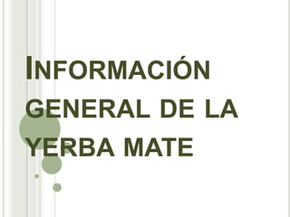 INFORMACIÓN
GENERAL DE LA
YERBA MATE
 