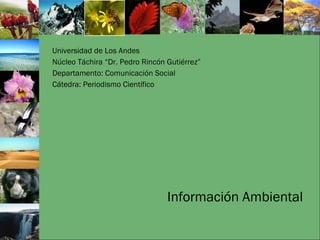 Universidad de Los Andes
Núcleo Táchira “Dr. Pedro Rincón Gutiérrez”
Departamento: Comunicación Social
Cátedra: Periodismo Científico
Información Ambiental
 