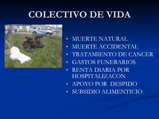 COLECTIVO DE VIDA MUERTE NATURAL MUERTE ACCIDENTAL TRATAMIENTO DE CANCER GASTOS FUNERARIOS RENTA DIARIA POR HOSPITALIZACON APOYO POR  DESPIDO SUBSIDIO ALIMENTICIO 