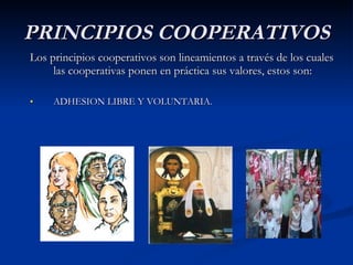 PRINCIPIOS   COOPERATIVOS Los principios cooperativos son lineamientos a través de los cuales las cooperativas ponen en práctica sus valores, estos son: ADHESION LIBRE Y VOLUNTARIA. 