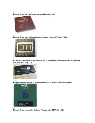 Informacion de pagina web