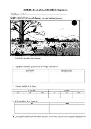 DEMUESTRO LO QUE APRENDI EN CTA (primero).
Apellidos y nombres……………………………………………………………………………………
INSTRUCCIONES: Observa la figura y contesta las interrogantes:
1. Escribe los animales que observas:
2. Agrupa los animales que anotaste en biotopo y biocenosis:
BIOTOPO BIOCENOSIS
3. Toma la medida de la figura:
LARGO ANCHO
m cm mm m cm mm
4. Calcula el área de la figura en:
m2
mm2
5. Que magnitudes has utilizado en los procesos anteriores y a que clase de magnitudes pertenecen?
 