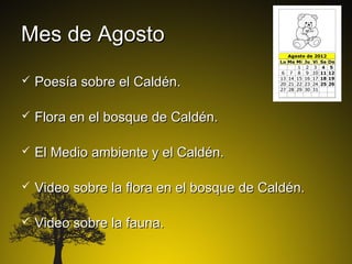 Mes de Agosto
   Poesía sobre el Caldén.

   Flora en el bosque de Caldén.

   El Medio ambiente y el Caldén.

   Video sobre la flora en el bosque de Caldén.

   Video sobre la fauna.
 