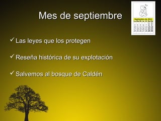 Mes de septiembre

 Las leyes que los protegen

 Reseña histórica de su explotación

 Salvemos al bosque de Caldén
 