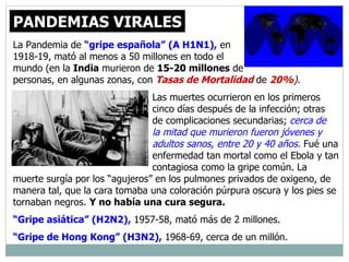 La P andemia de  “gripe española”   (A H1N1),   en  1918-19,  mató a l menos  a  50 millones en todo el  mundo  (en la  India  murieron de  15-20 millones  de  personas, en algunas zonas, con  Tasas de Mortalidad  de  20% ).   Las muertes ocurrieron  en los primeros  cinco días después de la infección ;  otr a s  de  complicaciones secundarias;  cerca de  la mitad que murieron fueron jóvenes y  adultos sanos, entre 20 y 40 años.  Fué  una  enfermedad tan mortal como el   Ebola y tan  contagiosa como la gripe común.  L a muerte  surgía por los   “ agujeros ”  en  los  pulmones priv ados  de oxigeno, de manera tal ,  que la cara toma ba  una coloración púrpura oscura y los pies se torna ba n negros.  Y  no ha bía  una cura segura.  “ G ripe asiática” (H2N2),   1957-58, mató  má s  de 2  millones . “ G ripe de Hong Kong” (H3N2),  1968-69,  cerca de un millón.   PANDEMIAS VIRALES 