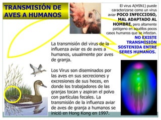 T RANSMISIÓN DE AVES A HUMANOS La transmisión del virus de la influenza aviar es de aves a humanos, usualmente por aves de granja.  Los Virus son diseminados por las aves en sus secreciones y excresiones de sus heces, en donde los trabajadores de las granjas tocan y aspiran el polvo con partículas fecales. La transmisión de la influenza aviar de aves de granja a humanos se inició en Hong Kong en 1997.  E l virus A(H5N1) puede caracterizarse como un virus aviar   POCO INFECCIOSO, MAL ADAPTADO AL HOMBRE ,   pero altamente patógeno en aquéllos pocos casos humanos que se infectan.   NO EXISTE TRANSMISIÓN SOSTENIDA ENTRE SERES HUMANOS.   