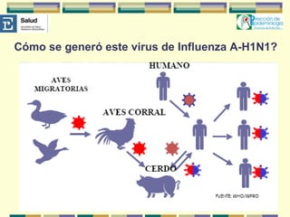 Cómo se generó este virus de Influenza A-H1N1? 