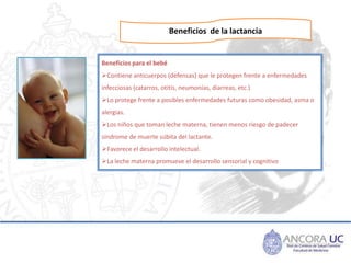 Beneficios de la lactancia


Beneficios para el bebé
Contiene anticuerpos (defensas) que le protegen frente a enfermedade...