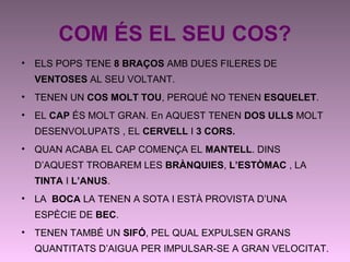 COM ÉS EL SEU COS?
• ELS POPS TENE 8 BRAÇOS AMB DUES FILERES DE
VENTOSES AL SEU VOLTANT.
• TENEN UN COS MOLT TOU, PERQUÉ NO TENEN ESQUELET.
• EL CAP ÉS MOLT GRAN. En AQUEST TENEN DOS ULLS MOLT
DESENVOLUPATS , EL CERVELL I 3 CORS.
• QUAN ACABA EL CAP COMENÇA EL MANTELL. DINS
D’AQUEST TROBAREM LES BRÀNQUIES, L’ESTÒMAC , LA
TINTA I L’ANUS.
• LA BOCA LA TENEN A SOTA I ESTÀ PROVISTA D’UNA
ESPÈCIE DE BEC.
• TENEN TAMBÉ UN SIFÓ, PEL QUAL EXPULSEN GRANS
QUANTITATS D’AIGUA PER IMPULSAR-SE A GRAN VELOCITAT.
 