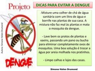 DICAS PARA EVITAR A DENGUE
                                 - Misture uma colher de chá de água
                                  sanitária com um litro de água e
                                 borrife nas plantas de sua casa. A
Autora: Simone Helen Drumond




                                mistura não faz mal às plantas e mata
                                       o mosquito da dengue.

                                  - Lave bem os pratos de plantas e
                                 xaxins, passando um pano ou bucha
                                para eliminar completamente ovos de
                                mosquitos. Uma boa solução é trocar a
                                água por areia molhada nos pratinhos.

                                   - Limpe calhas e lajes das casas.

                                        Simone Helen Drumond
 