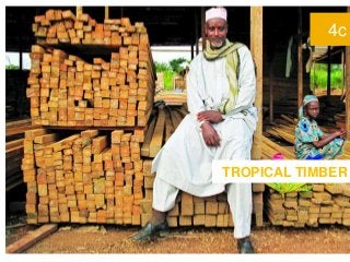 4c
TROPICAL TIMBER
 