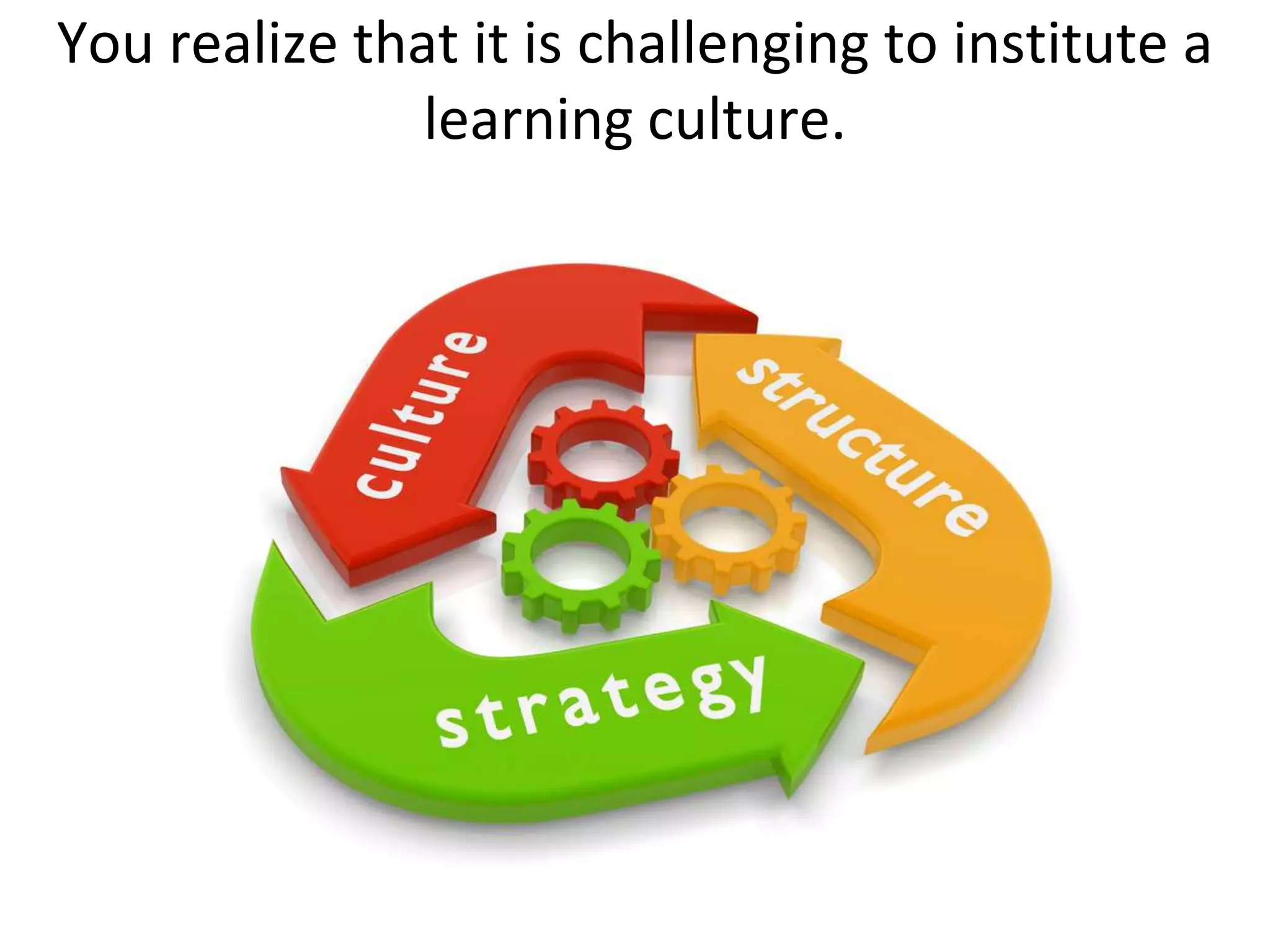 You realize that it is challenging to institute a
               learning culture.
 