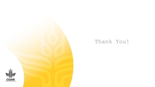 Informal markets and nutrition in Africa