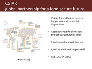 The importance of and experience in building the capacity of informal markets, especially in the context of sub-Saharan Africa