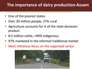 Evaluating risks in the informal milk value chain in Northeast India
