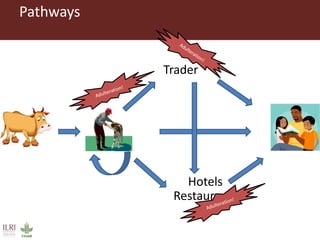 Evaluating risks in the informal milk value chain in Northeast India
