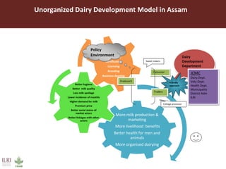 Evaluating risks in the informal milk value chain in Northeast India