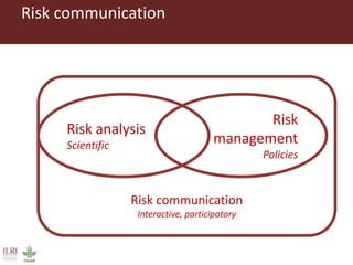 Evaluating risks in the informal milk value chain in Northeast India