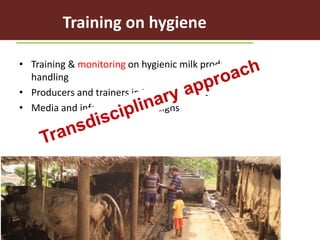 Evaluating risks in the informal milk value chain in Northeast India