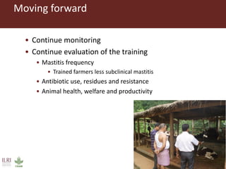 Evaluating risks in the informal milk value chain in Northeast India