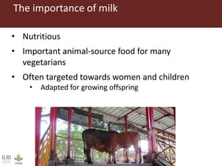 Evaluating risks in the informal milk value chain in Northeast India