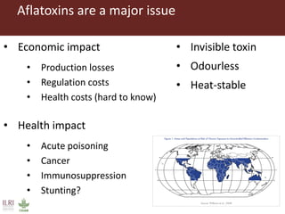 Evaluating risks in the informal milk value chain in Northeast India