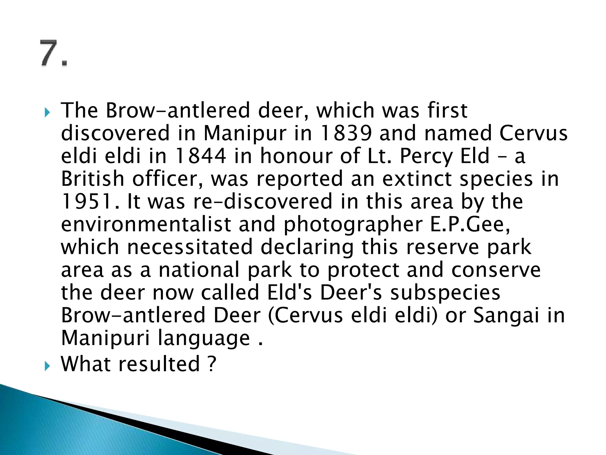  The Brow-antlered deer, which was first
discovered in Manipur in 1839 and named Cervus
eldi eldi in 1844 in honour of Lt. Percy Eld – a
British officer, was reported an extinct species in
1951. It was re–discovered in this area by the
environmentalist and photographer E.P.Gee,
which necessitated declaring this reserve park
area as a national park to protect and conserve
the deer now called Eld's Deer's subspecies
Brow-antlered Deer (Cervus eldi eldi) or Sangai in
Manipuri language .
 What resulted ?
 