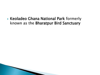  Keoladeo Ghana National Park formerly
known as the Bharatpur Bird Sanctuary
 