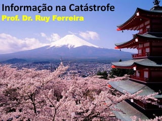 Informação na CatástrofeProf. Dr. Ruy Ferreira 