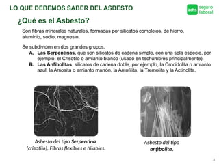LO QUE DEBEMOS SABER DEL ASBESTO
3
¿Qué es el Asbesto?
Son fibras minerales naturales, formadas por silicatos complejos, de hierro,
aluminio, sodio, magnesio.
Asbesto del tipo Serpentina
(crisotilo). Fibras flexibles e hilables.
Se subdividen en dos grandes grupos.
A. Las Serpentinas, que son silicatos de cadena simple, con una sola especie, por
ejemplo, el Crisotilo o amianto blanco (usado en techumbres principalmente).
B. Las Anfibolitas, silicatos de cadena doble, por ejemplo, la Crocidolita o amianto
azul, la Amosita o amianto marrón, la Antofilita, la Tremolita y la Actinolita.
Asbesto del tipo
anfibolita.
 