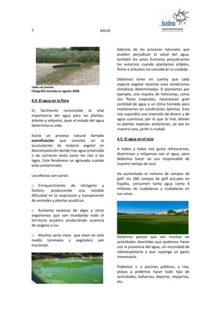 7                                        AGUA



                                                Además de los procesos naturales que
                                                pueden perjudican la salud del agua,
                                                también los seres humanos perjudicamos
                                                los entornos cuando plantamos árboles,
                                                flores o arbustos sin considerar su cuidado.

                                                Debemos tener en cuenta que cada
                                                especie vegetal necesita unas condiciones
Tablas de Daimiel.
Fotografía tomada en agosto 2008.
                                                climáticas determinadas. Si plantamos por
                                                ejemplo, una maceta de heliconias, como
4.4. El agua en la flora                        son flores tropicales, necesitarán gran
                                                cantidad de agua y un clima húmedo para
Es fácilmente reconocible la vital              mantenerlas en condiciones óptimas. Esto
importancia del agua para las plantas,          nos supondrá una inversión de dinero y de
árboles y arbustos, pues el estado del agua     agua cuantiosa, por lo que lo más idóneo
determina su vida.                              es plantar especies autóctonas, ya sea en
                                                nuestra casa, jardín o ciudad.
Existe un proceso natural llamado
eutrofización que consiste en la                4.5. El agua en el ocio
acumulación de materia vegetal en
descomposición donde hay agua estancada         A todos y todas nos gusta refrescarnos,
o de corriente lenta como los ríos o los        divertirnos y relajarnos con el agua, pero
lagos. Este fenómeno se agravada cuando         debemos hacer un uso responsable de
está contaminado.                               nuestro tiempo de ocio.

Los efectos son varios:                         Ha aumentado el número de campos de
                                                golf; los 280 campos de golf actuales en
o Enriquecimiento de nitrógeno y                España, consumen tanta agua como 4
fósforo,    produciendo      una    notable     millones de ciudadanos y ciudadanas en
dificultad en la respiración y transpiración    sus casas.
de animales y plantas acuáticas.

o Aumento excesivo de algas y otros
organismos que van inundando todo el
territorio acuático produciendo ausencia
de oxígeno y luz.

o Muchos seres vivos que viven en este          Debemos pensar que son muchas las
medio (animales y vegetales) van                actividades divertidas que podemos hacer
muriendo.                                       con la presencia del agua, sin necesidad de
                                                sobreexplotarla y que suponga un gasto
                                                innecesario.

                                                Podemos ir a piscinas públicas, a ríos,
                                                playas y podemos hacer todo tipo de
                                                actividades; bañarnos, deporte, relajarnos,
                                                etc.
 