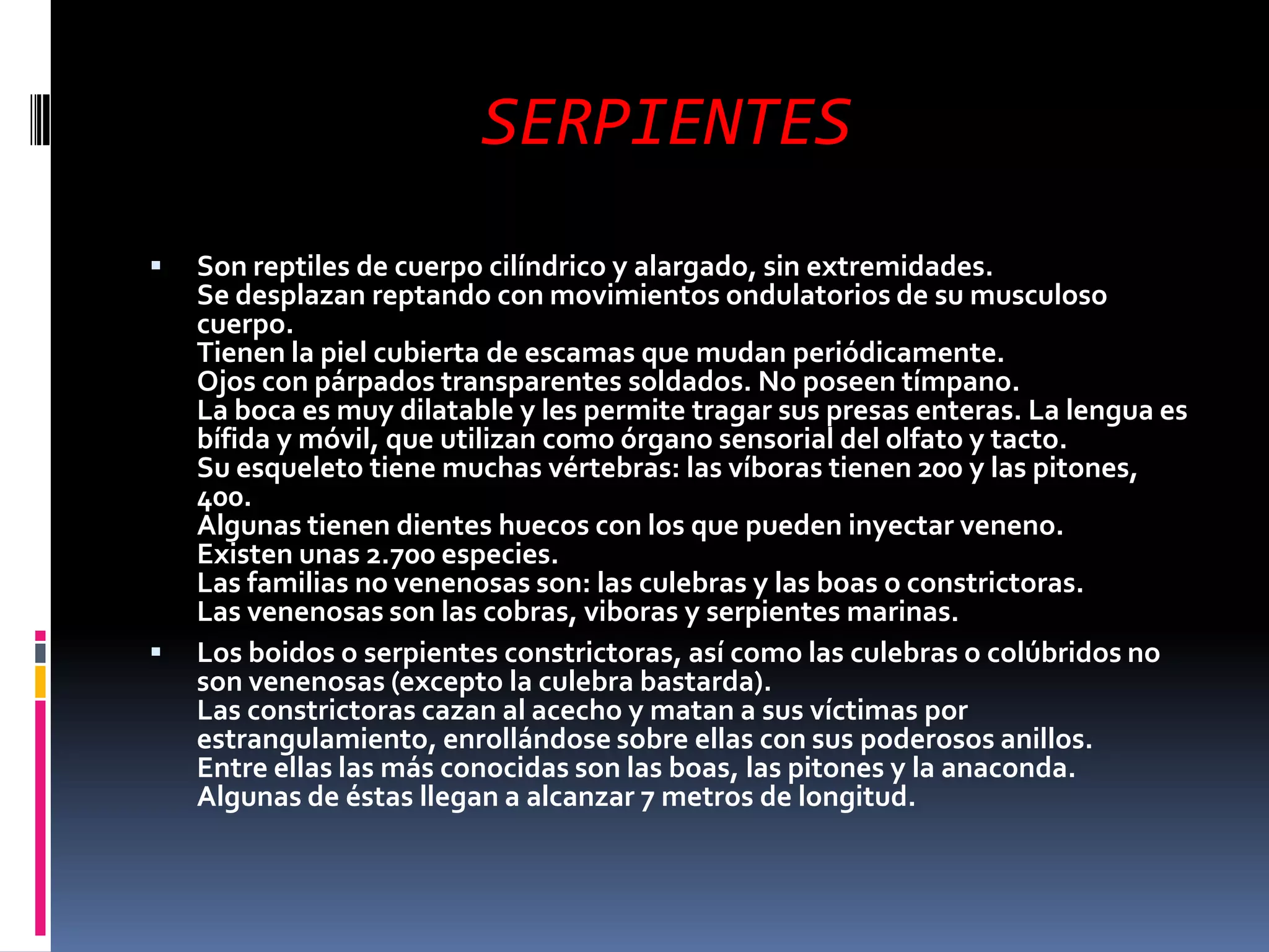 SERPIENTESSon reptiles de cuerpo cilíndrico y alargado, sin extremidades.Se desplazan reptando con movimientos ondulatorios de su musculoso cuerpo.Tienen la piel cubierta de escamas que mudan periódicamente.Ojos con párpados transparentes soldados. No poseen tímpano.La boca es muy dilatable y les permite tragar sus presas enteras. La lengua es bífida y móvil, que utilizan como órgano sensorial del olfato y tacto.Su esqueleto tiene muchas vértebras: las víboras tienen 200 y las pitones, 400.Algunas tienen dientes huecos con los que pueden inyectar veneno.Existen unas 2.700 especies.Las familias no venenosas son: las culebras y las boas o constrictoras.Las venenosas son las cobras, viboras y serpientes marinas.Los boidos o serpientes constrictoras, así como las culebras o colúbridos no son venenosas (excepto la culebra bastarda).Las constrictoras cazan al acecho y matan a sus víctimas por estrangulamiento, enrollándose sobre ellas con sus poderosos anillos.Entre ellas las más conocidas son las boas, las pitones y la anaconda.Algunas de éstas llegan a alcanzar 7 metros de longitud.