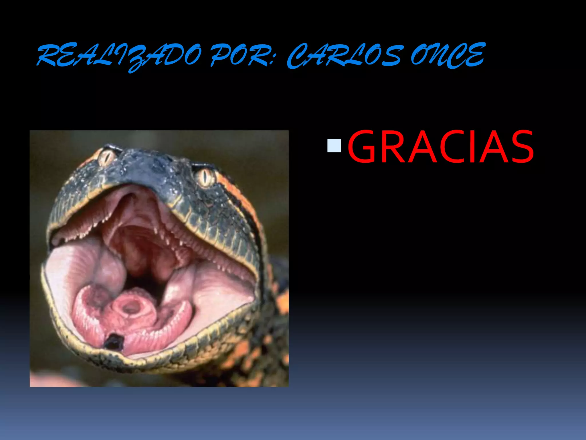 REALIZADO POR: CARLOS ONCEGRACIAS 