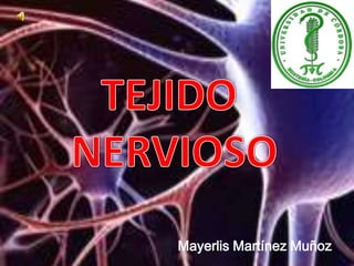 TEJIDO  NERVIOSO Mayerlis Martínez Muñoz 