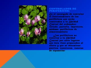 CONTROLADOR DE
PERIFERICOS:
Es el encargado de controlar
el funcionamiento de los
periféricos que están
conectados a la Unidad
Central del ordenador:
teclado, pantalla, impresora,
módems, periféricos de
almacenamiento
Los periféricos se
conectan a la Unidad
Central por unos lugares
que ésta tiene preparados al
efecto y que se denominan
puertos, conectores, ranuras
de expansión:
 