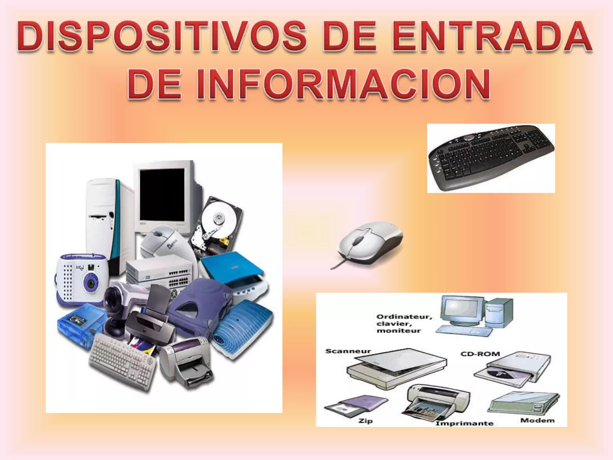DISPOSITIVOS DE ENTRADA DE INFORMACION