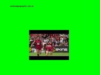   nationalgeographic.com.es 