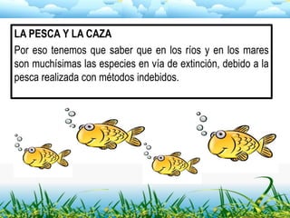 LA PESCA Y LA CAZA
Por eso tenemos que saber que en los ríos y en los mares
son muchísimas las especies en vía de extinción, debido a la
pesca realizada con métodos indebidos.
 
