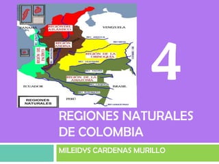 4
REGIONES NATURALES
DE COLOMBIA
MILEIDYS CARDENAS MURILLO
 