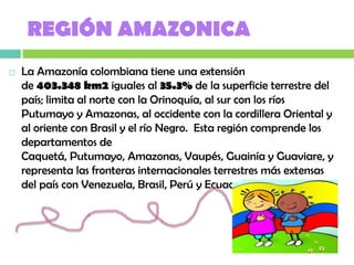 REGIÓN AMAZONICA
   La Amazonía colombiana tiene una extensión
    de 403.348 km2 iguales al 35.3% de la superficie terrestre del
    país; limita al norte con la Orinoquía, al sur con los ríos
    Putumayo y Amazonas, al occidente con la cordillera Oriental y
    al oriente con Brasil y el río Negro. Esta región comprende los
    departamentos de
    Caquetá, Putumayo, Amazonas, Vaupés, Guainía y Guaviare, y
    representa las fronteras internacionales terrestres más extensas
    del país con Venezuela, Brasil, Perú y Ecuador.
 