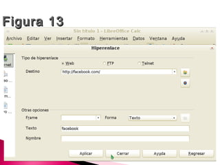 Figura 13
 