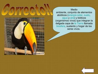 Medio ambiente, conjunto de elementos abióticos ( energía solar ,  suelo ,  agua  y  aire ) y bióticos (organismos vivos) que integran la delgada capa de  la Tierra  llamada  biosfera , sustento y hogar de los seres vivos.  Correcto!! 