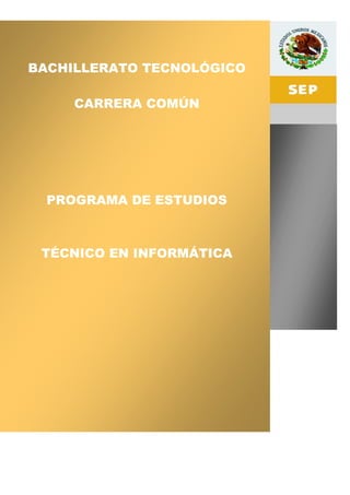 BACHILLERATO TECNOLÓGICO
                333



     CARRERA COMÚN




  PROGRAMA DE ESTUDIOS



 TÉCNICO EN INFORMÁTICA
 