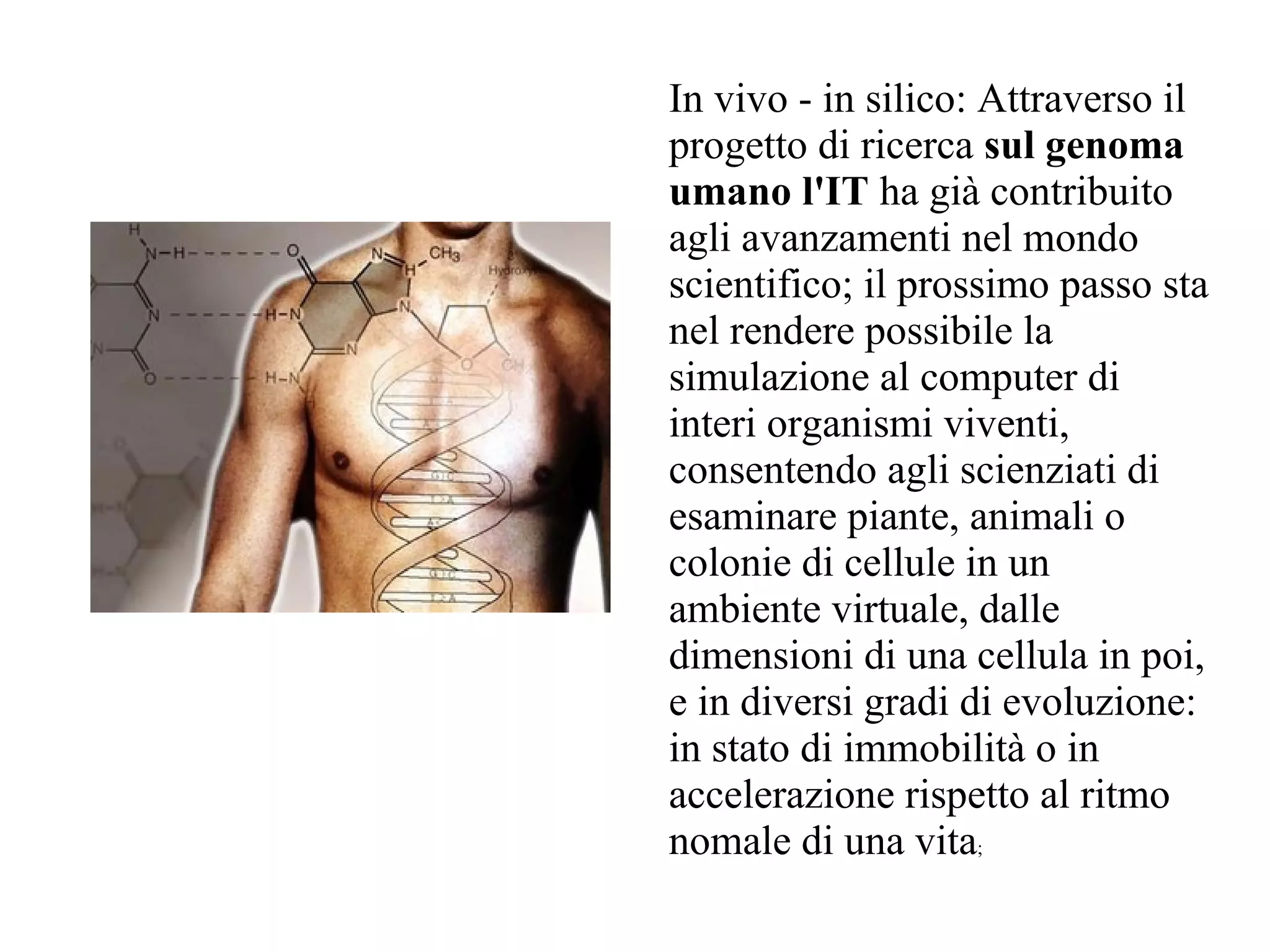 In vivo - in silico: Attraverso il
progetto di ricerca sul genoma
umano l'IT ha già contribuito
agli avanzamenti nel mondo
scientifico; il prossimo passo sta
nel rendere possibile la
simulazione al computer di
interi organismi viventi,
consentendo agli scienziati di
esaminare piante, animali o
colonie di cellule in un
ambiente virtuale, dalle
dimensioni di una cellula in poi,
e in diversi gradi di evoluzione:
in stato di immobilità o in
accelerazione rispetto al ritmo
nomale di una vita;
 